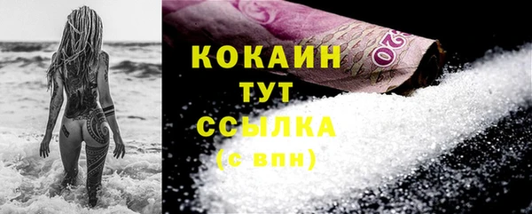 PSILOCYBIN Верхний Тагил