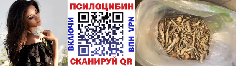 Галлюциногенные грибы GOLDEN TEACHER  Вологда 